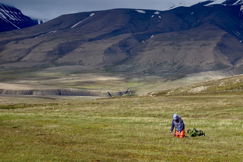 Ny utstilling viser Svalbards natur i endring